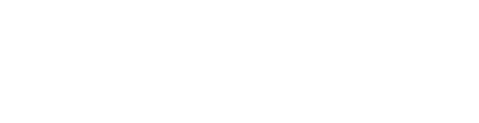 Visoid