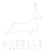 Gazelle Technologies